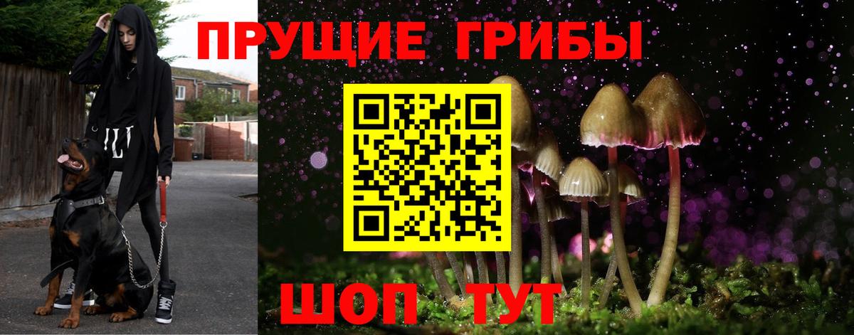 Галлюциногенные грибы прущие грибы  Галлюциногенные грибы мухоморы  Иваново  Вход с VPN 
